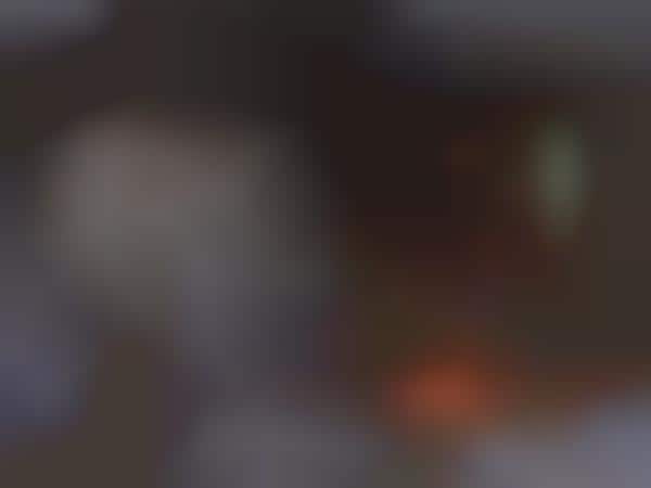 Instantaneous Video Call Platforms