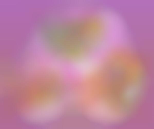 Prepackaged Springtime Cakes