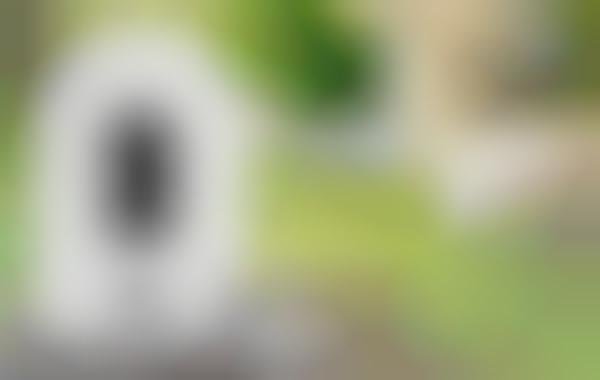 Interactive Livestream Pet Cameras