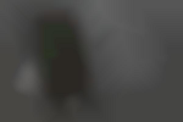Global Music Streaming Deals