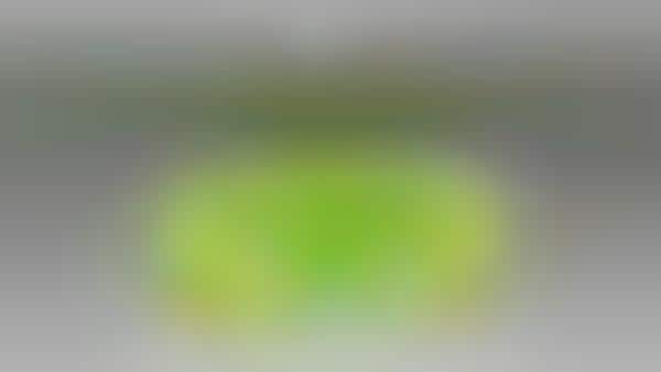 Neon Green Virtual Sofas