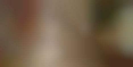 ASMR Celebrity Documentaries