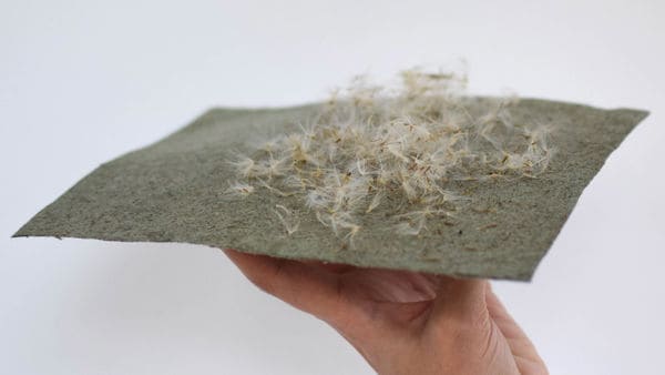 25 Sustainable Textile Innovations
