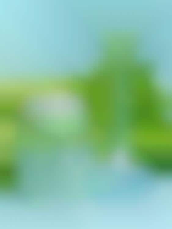 Celery-Based Skincare