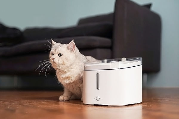 Posh Pet Water Purifiers