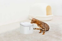 Posh Pet Water Purifiers Image 2