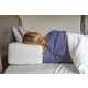 Supportive Anti-Snoring Pillows Image 1