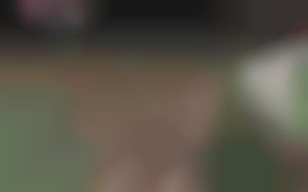 Virtual Baseball Tournaments