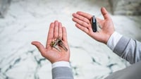 Connected Key Carriers Image 2