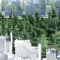 Social Distancing Parks Image 3