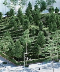 Social Distancing Parks Image 4