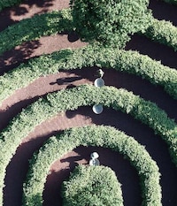Social Distancing Parks Image 7