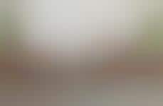 Haute Harp-Inspired Furniture