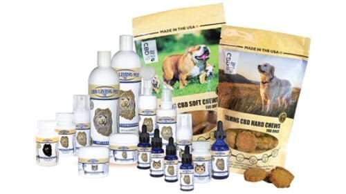 CBD-Powered Pet Products
