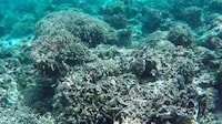 Ocean-Mapping Games Image 5