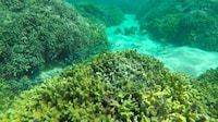 Ocean-Mapping Games Image 8