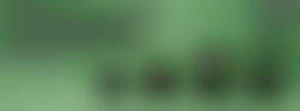 backpack made from recycled plastic