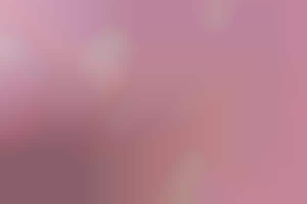 Bubblegum Pink Bakeries