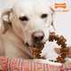 Oral Health-Supporting Dog Chews Image 1