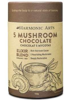 Restorative Mushroom Hot Chocolates