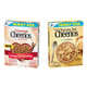 Cinnamon-Spiced Oat Cereals Image 2