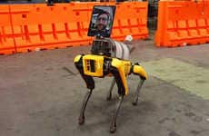 Remote Patient Screening Robots