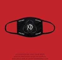 Charitable Cloth Face Masks Image 2