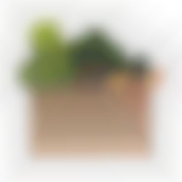 Juice Brand Produce Deliveries