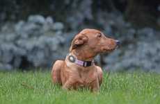 Smoke Detector Pet Collars