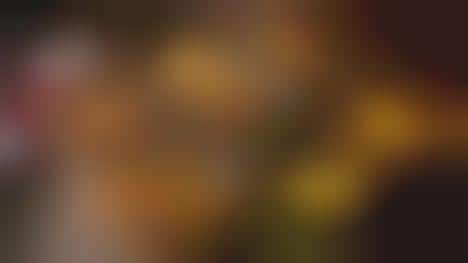 Mexican Holiday Meal Deals