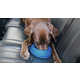 Car-Friendly Pet Bowls Image 2