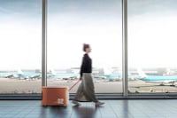 Anxiety-Alleviating Pet Carriers Image 8