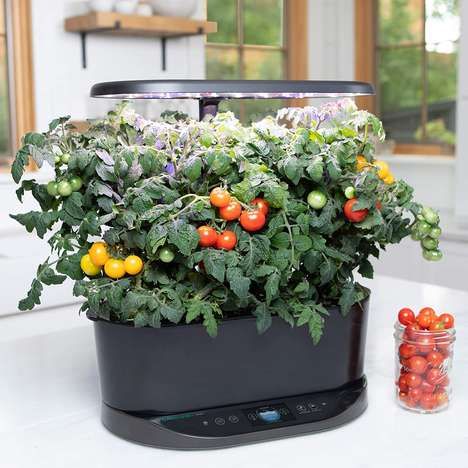 Voice Assistant Hydroponic Gardens