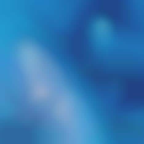 Virtual Mexican Holidays