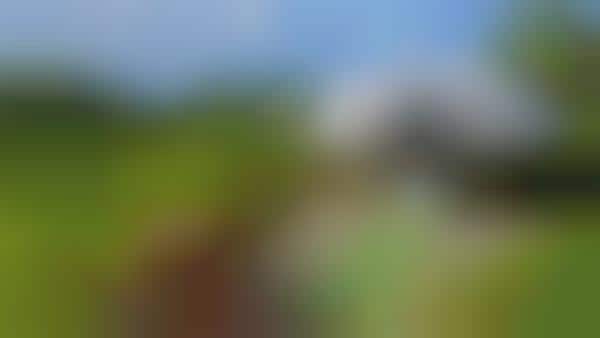 Travel-Inspired Virtual Backgrounds