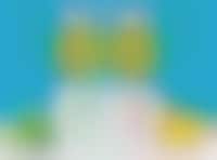 Sparkling Summertime Seltzer Drinks Image 1