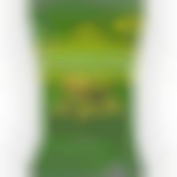 Guacamole-Flavored Tortilla Chips