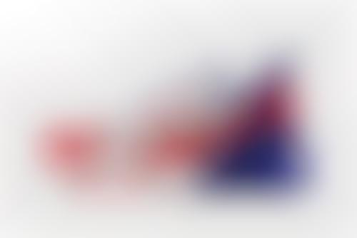 Patriotic Tonal Sneaker Palettes