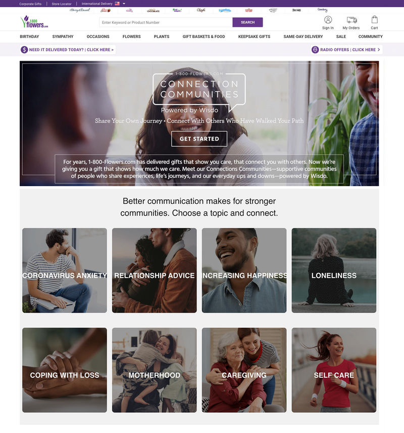 P2P Support Networks