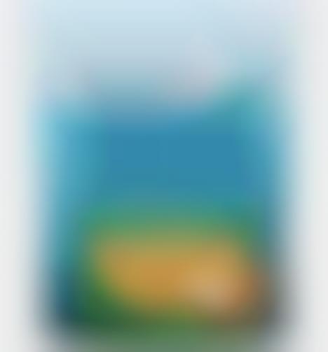 Protein-Packed Dog Biscuits