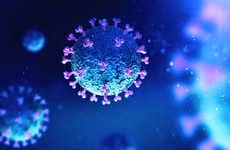 Predictive Patient Outcome Technologies