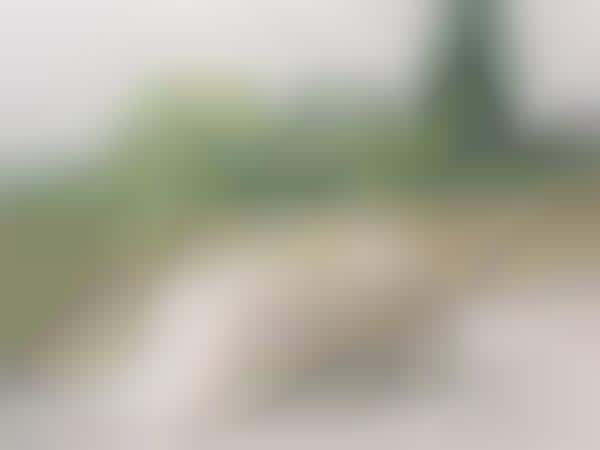 Intimate Wedding Packages