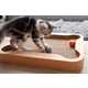 Interactive Feline Board Games Image 1