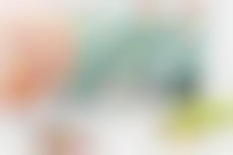 Limited-Ingredient Dog Treats