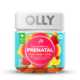 Prenatal Multivitamin Gummies Image 1