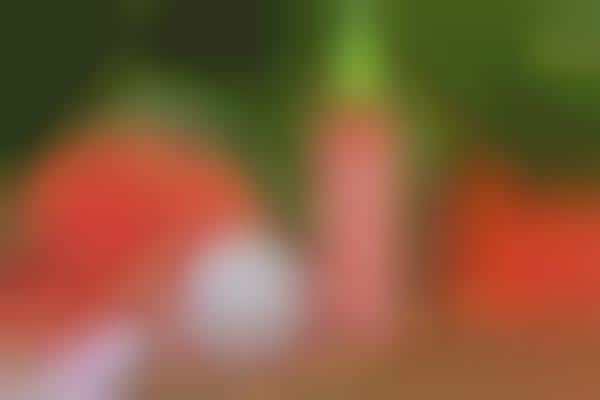 Overnight Watermelon Face Masks