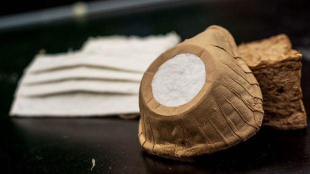 Biodegradable Face Masks