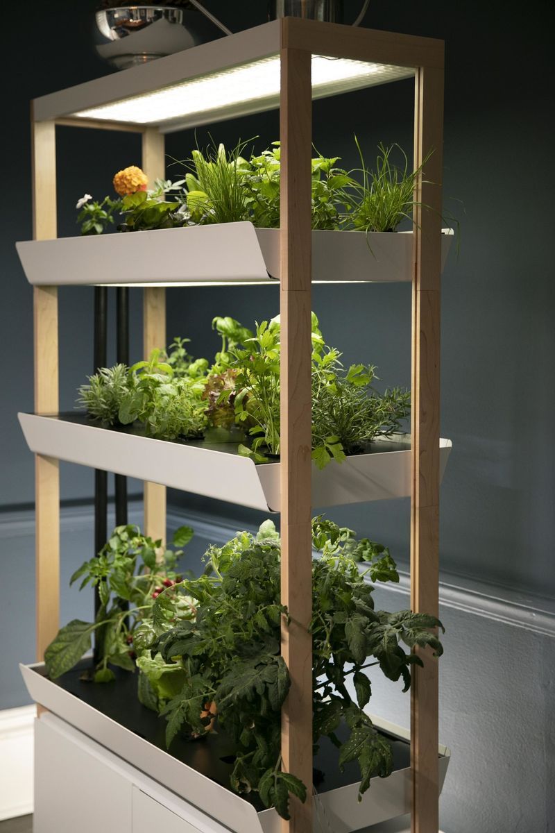 Three-Level Indoor Gardens