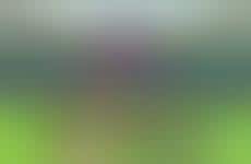 Remote Cheering Apps