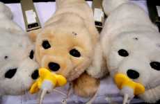 Robot Animal Therapy